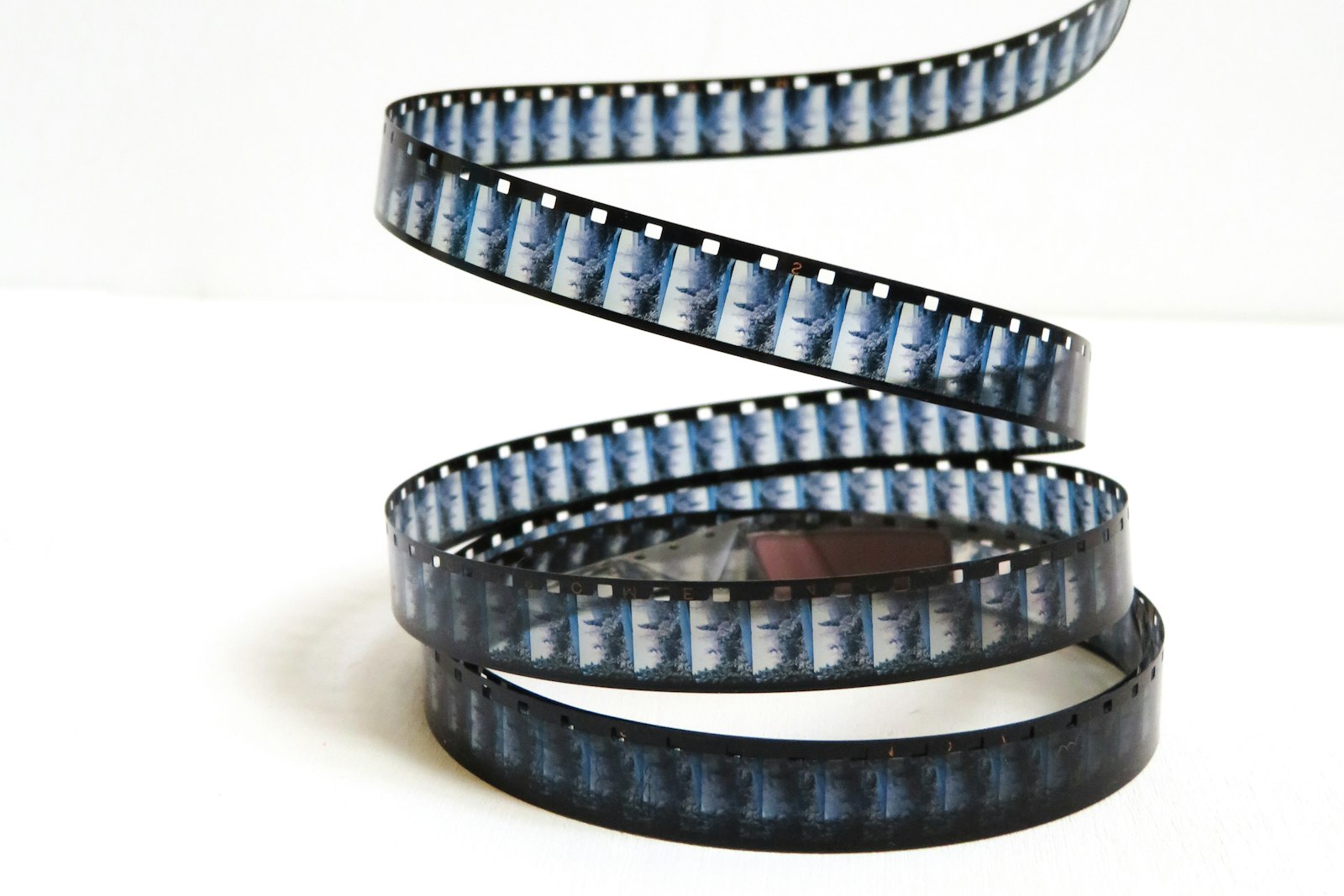 A coiled length of 35mm motion picture film standing on a white surface, dozens of near identical frames of a blue forest scene running along the strip